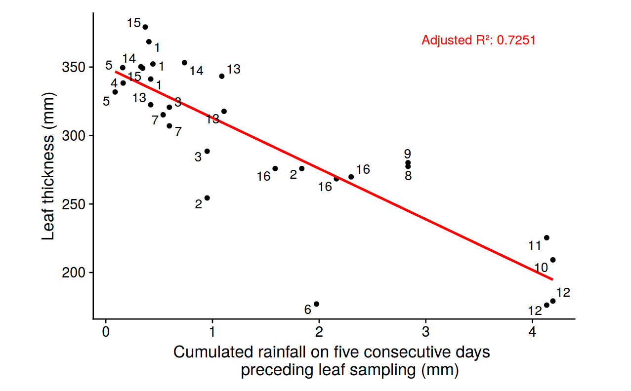 Leaf thickness variation with precipitation for \emph{Symphonia globulifera} species. Leaf thickness in milimeters against cumulated rainfall on five consecutive days preceeding leaf sampling in milimeters.