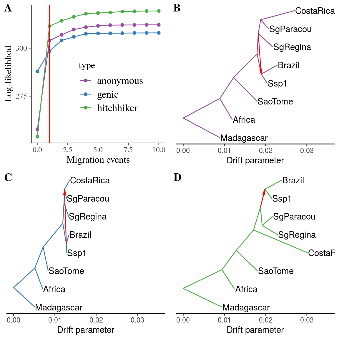 Phylogeny for *Symphonia* species. Drift-based phylogeny of *Symphonia* and *Pentadesma* populations with `treemix` [@Pickrell2012]. Subfigure **A** present the log-likelihood of the phylogeny topology depending on the number of allowed migration events per SNP type, suggesting 1 migration event to better represent the phylogeny topology than none. Others subfigures represent the phylogeny for anonymous (**B**), genic (**C**) and putatively-hitchhiker (**D**) SNPs. The red arrow represents the most likely migration event. Population are named by their localities, including *Symphonia* species only or *Symphonia* and *Pentadesma* species in Africa. At the exception of the three Paracou populations: *S. sp1*, *S. globulifera type Paracou* and *S. globulifera type Regina* respectivelly named Ssp1, SgParacou and SgRegina.