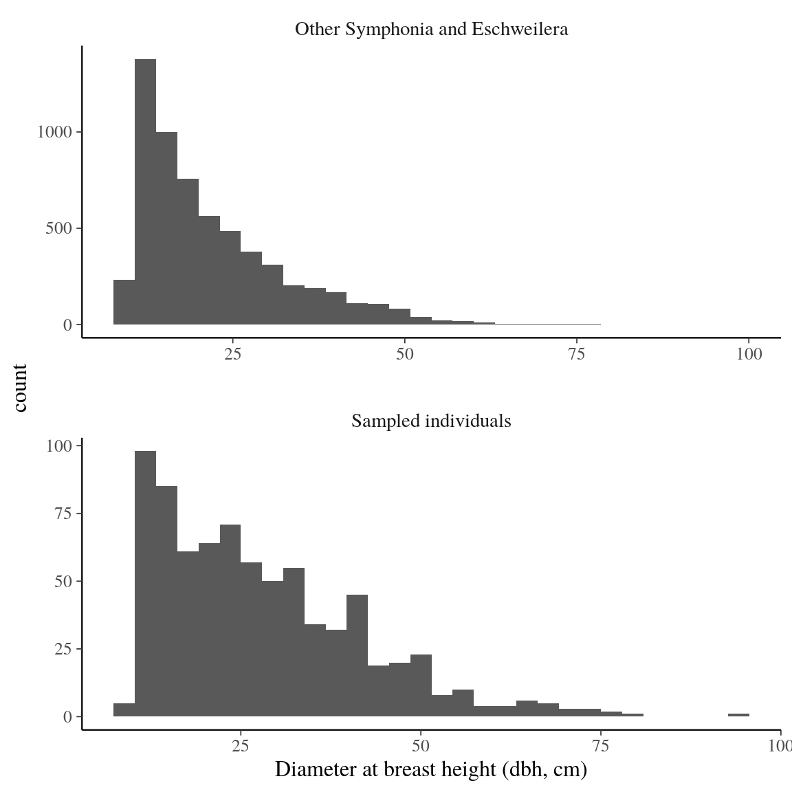 Diameter at breast height (DBH) distribution between sampled indivduals and other *Symphonia* and *Eschweilera* individuals of Paracou.