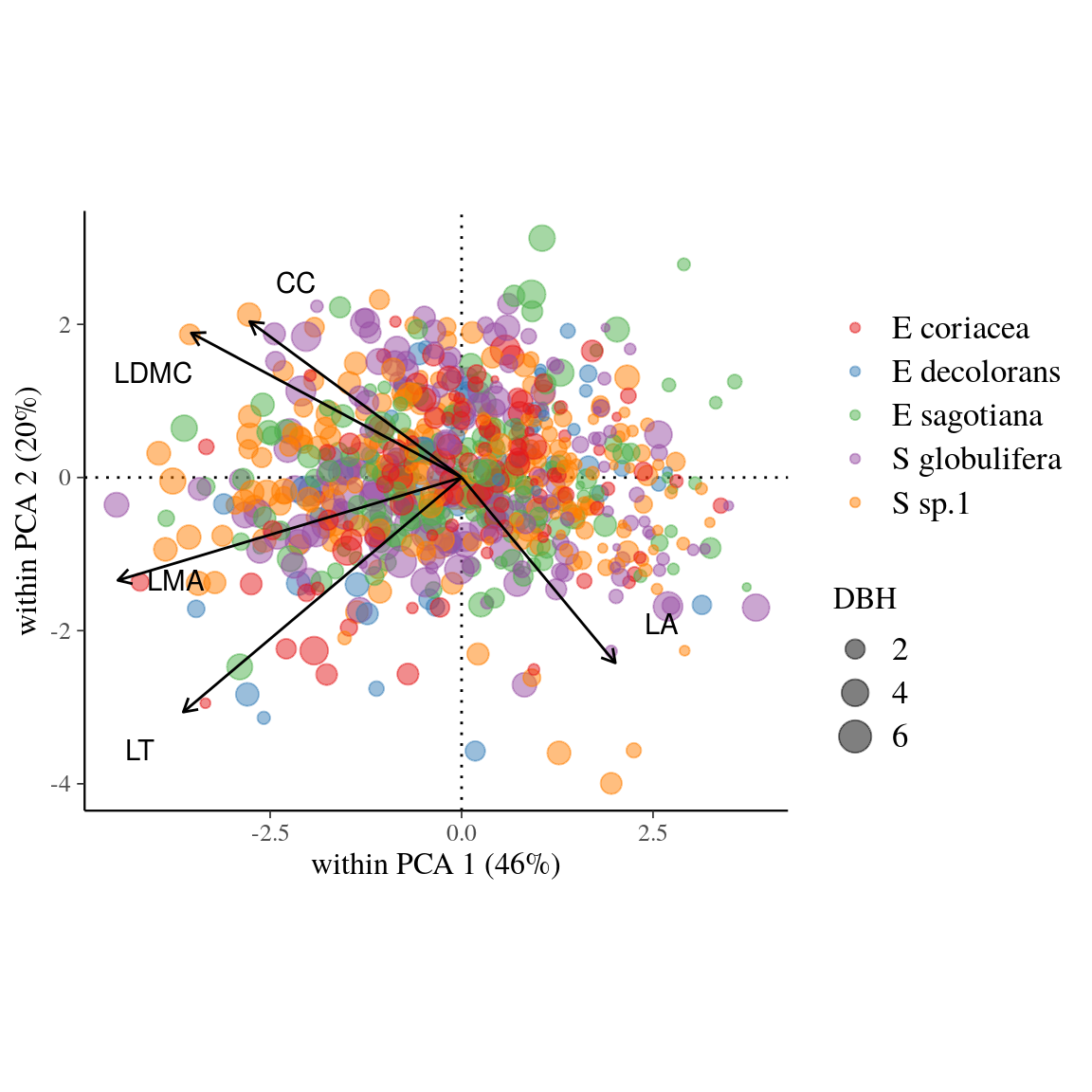 Within-species Principal Component Analysis (wPCA) of leaf traits across individuals  in five Neotropical tree species. Circle colors indicate the species, whereas size of circles indicates individual diameter at breast height. See Tab. \@ref(tab:Ch2Trait) for abbreviation of traits.