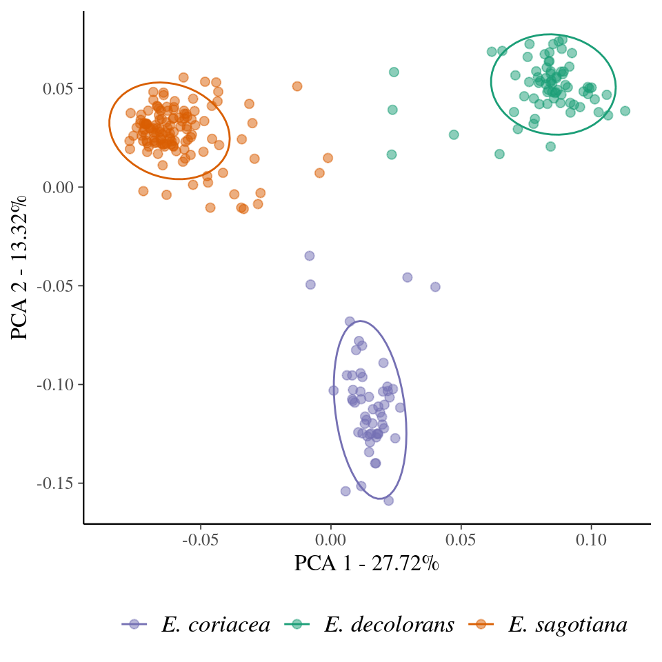 Principal component analysis (PCA) of single nucleotide polymorphisms (SNP) from *Eschweilera* clade *Parvifolia.* The colours represent the clusters detected with Kmeans for the best K, K = 3.